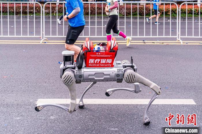 第20届亚洲马拉松锦标赛暨2025嘉兴马拉松开赛 朝